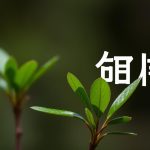 下注