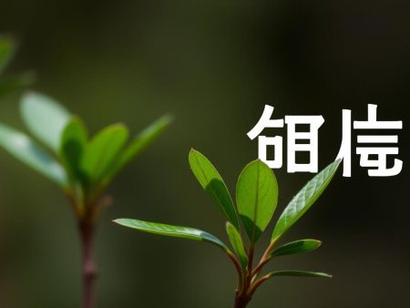 如何利用足球即時比分角球提升下注成功率