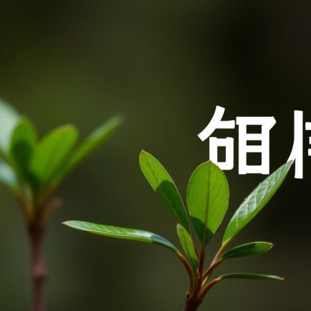 如何利用足球即時比分角球提升下注成功率